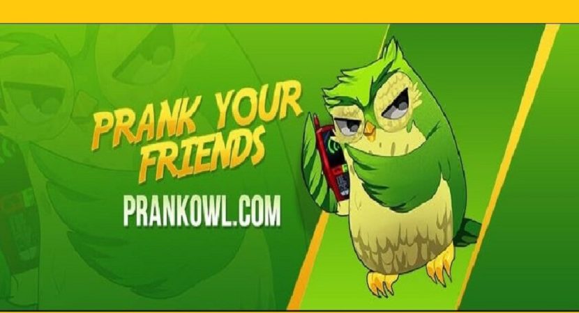 Prank Owl
