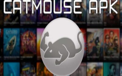CatMouse APK