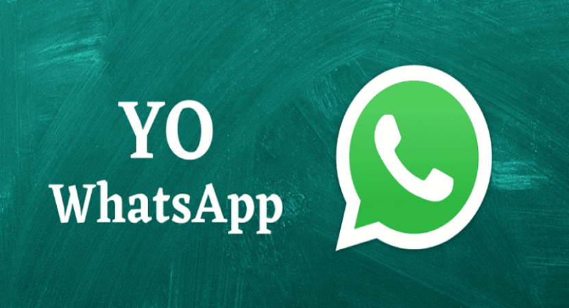 YoWhatsApp