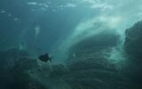 Fishing Nets Into New Samsung Galaxy