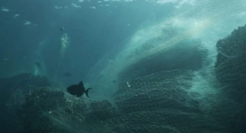 Fishing Nets Into New Samsung Galaxy