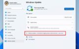 Windows 11 Build 22567