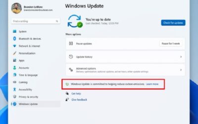 Windows 11 Build 22567