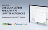 Run Jupyter notebooks