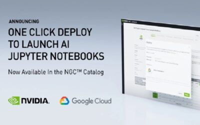 Run Jupyter notebooks